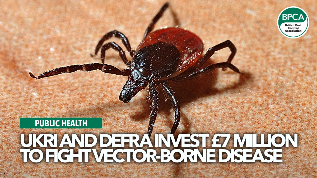 ukri-and-defra-invest-fight-vector-diseases